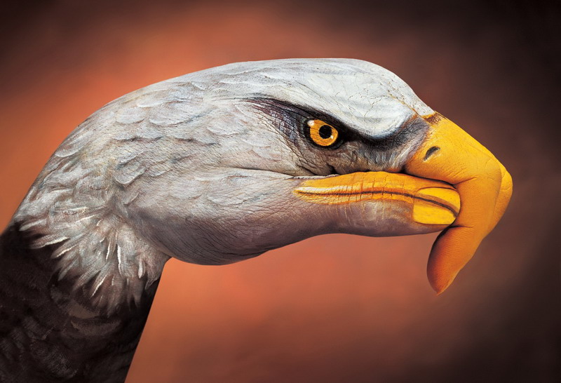 aquila2